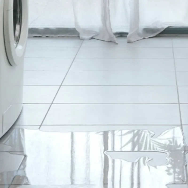 Appliance Leak Cleanup in Fair Plain, MI