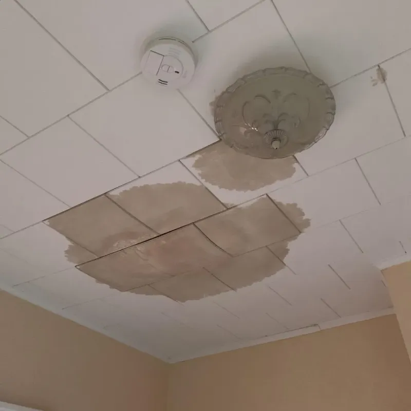 Ceiling Water Damage Repair in Fair Plain, MI