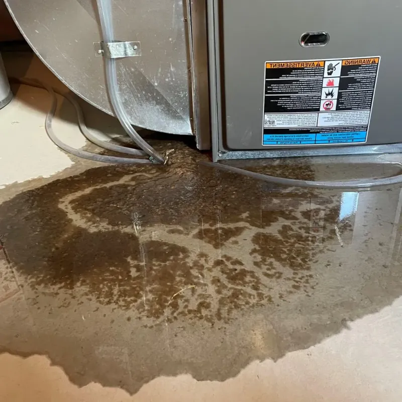 Pipe Burst and Leak Restoration in Fair Plain, MI