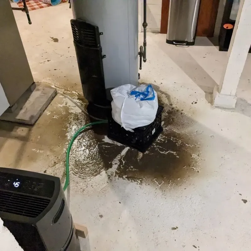 Sewage Backup Cleanup Service in Fair Plain, MI